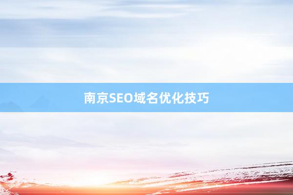南京SEO域名优化技巧