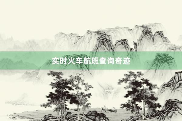 实时火车航班查询奇迹