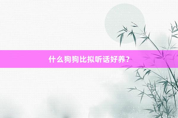 什么狗狗比拟听话好养？