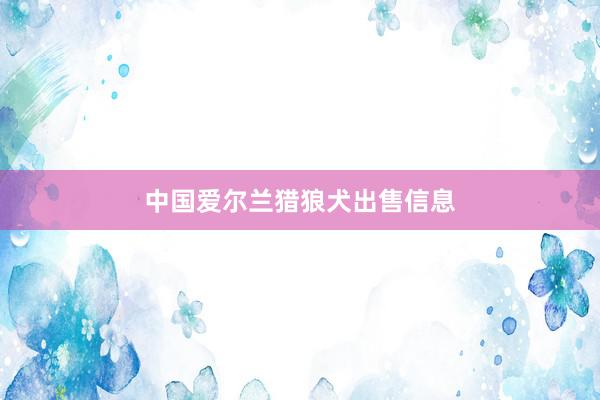 中国爱尔兰猎狼犬出售信息